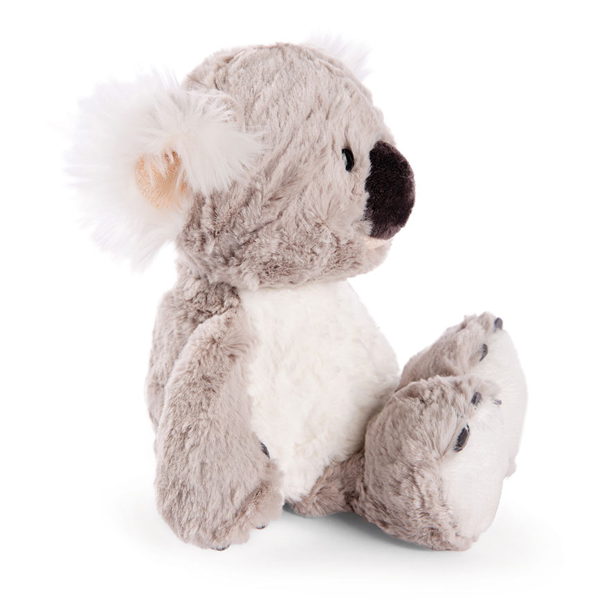 NICI Koala