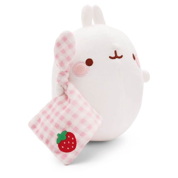 MOLANG with Blanket