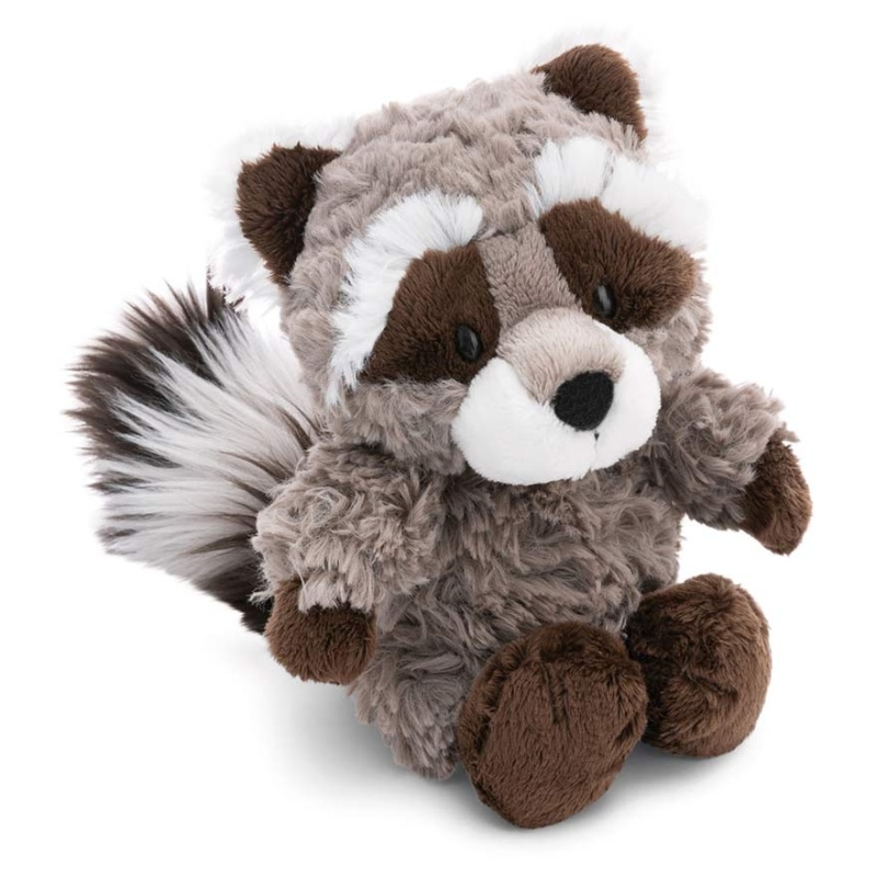 Dreamy Winter Lenno Raccoon