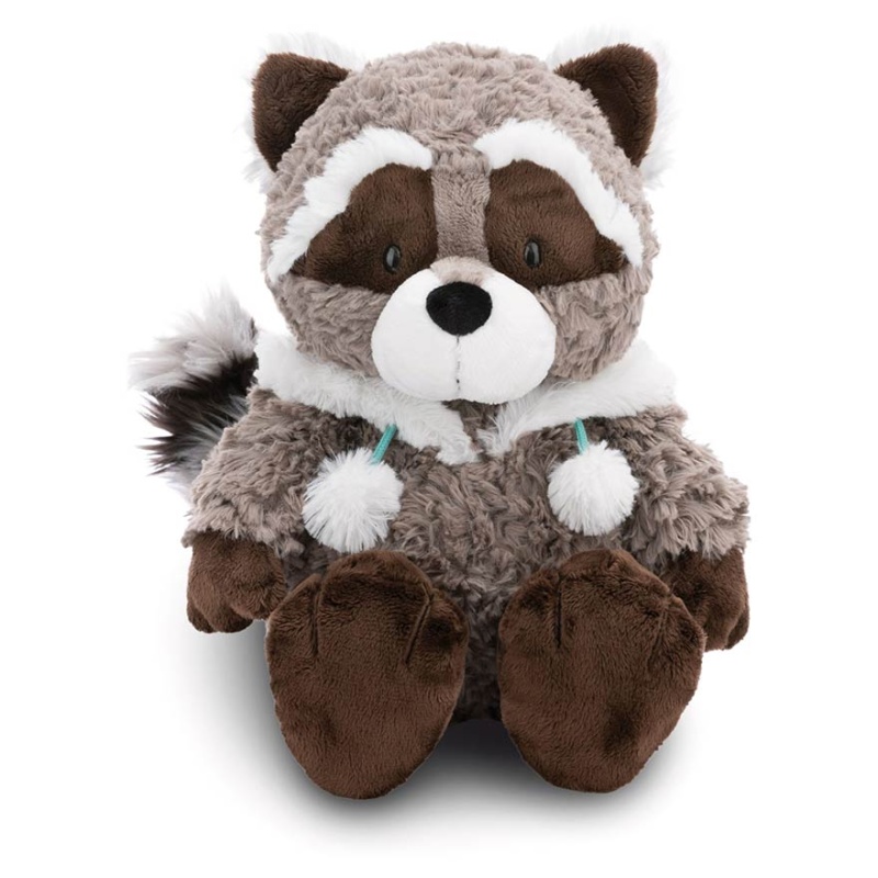 Dreamy Winter Lenno Raccoon with Hood