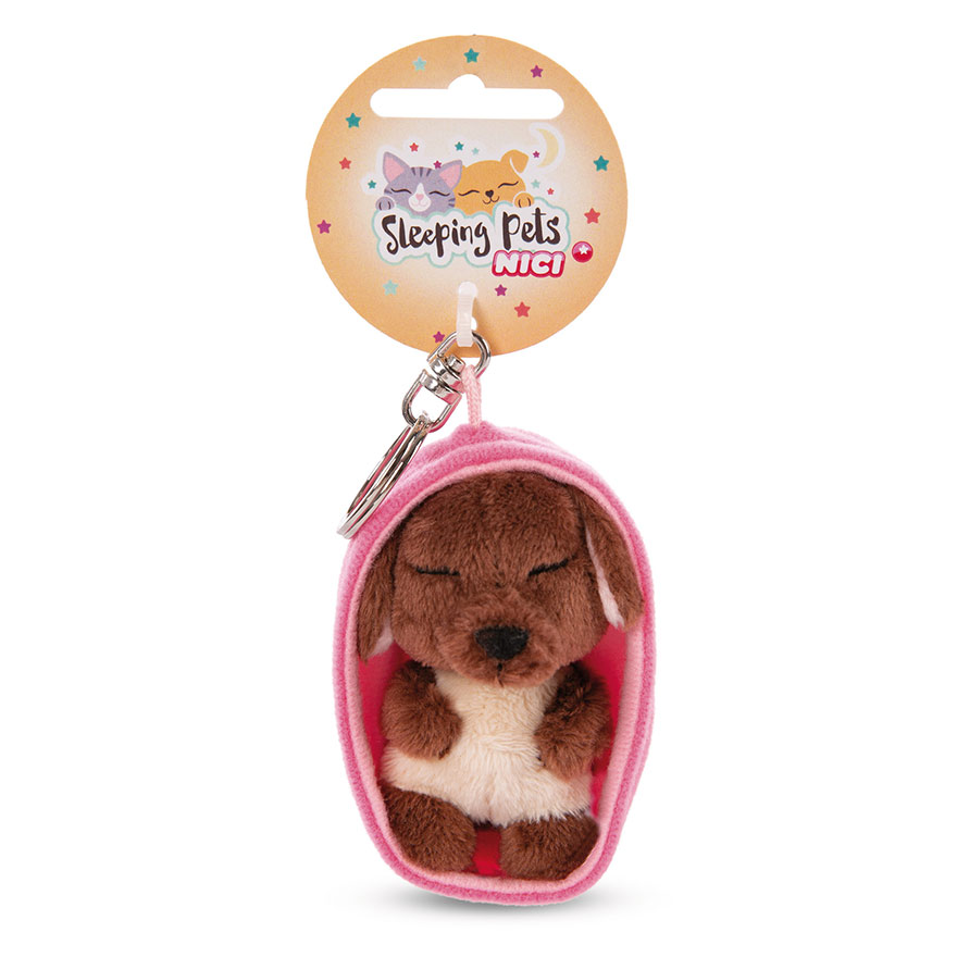 Sleeping Pets Chocolate Dog Keyring